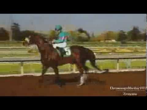 horse racing horse racing