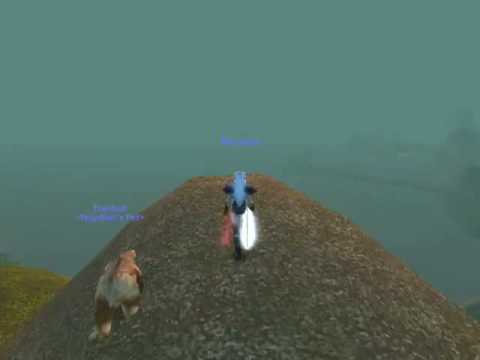 polar bair