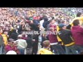hooligans