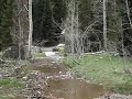 ATV Crossing River in American Fork Canyon Utah ATV Crossing River in American Fork Canyon Utah