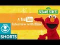Sesame Street: Elmo's YouTube Interview - YouTube