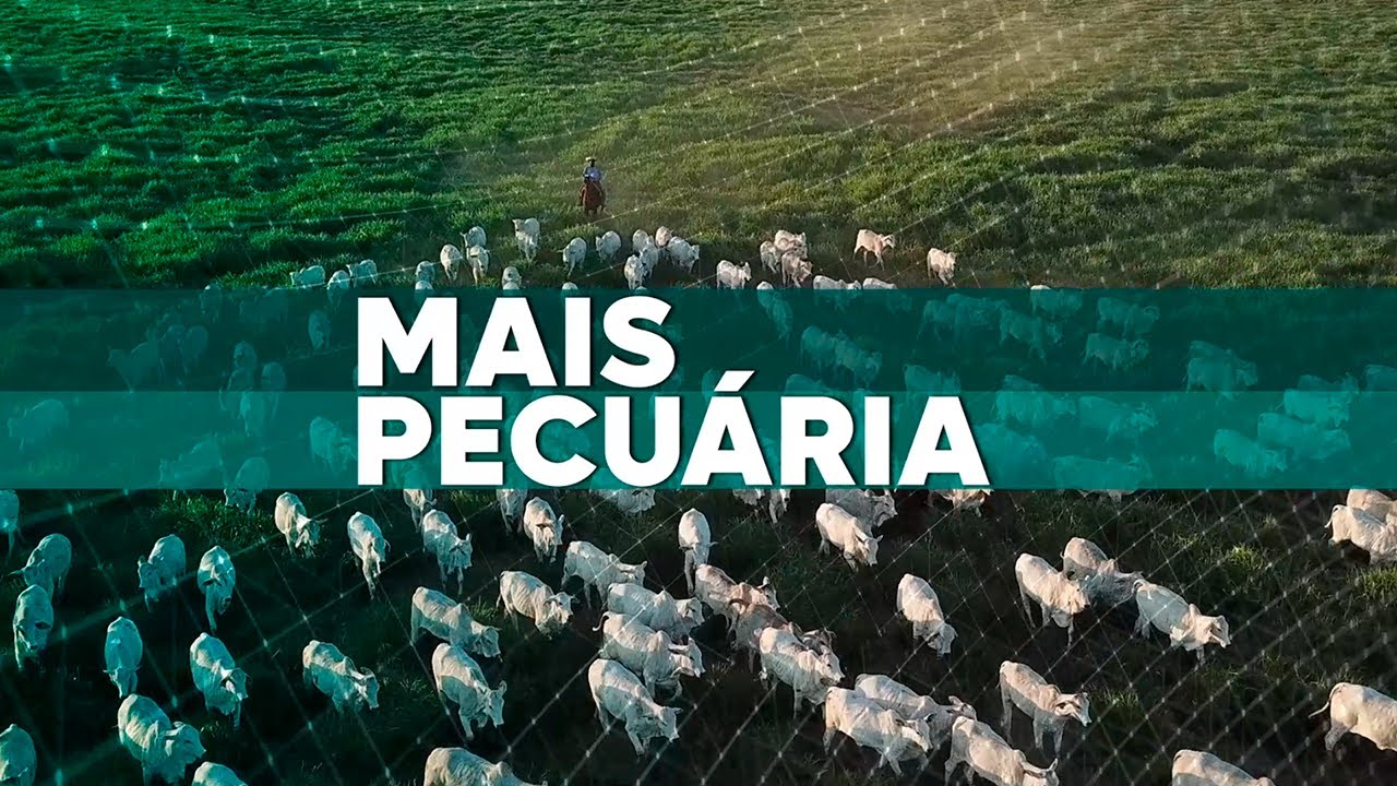 Mais Pecuária | 22/10/2025
