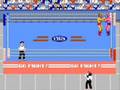 NES Pro Wrestling