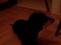 MOV04617.MPG