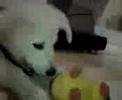 MOV02808 (MOV02808.3gp) - Sat Jan 19 14:03:59 2008