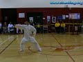 Combined Chen Taijiquan Form (Laojia  Xinjia)