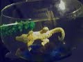 time lapse water toys