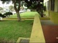 videos de Kung Fu Fighting Monkeys