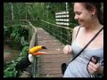 MVI_6380.avi
