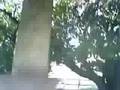 処理系動画4