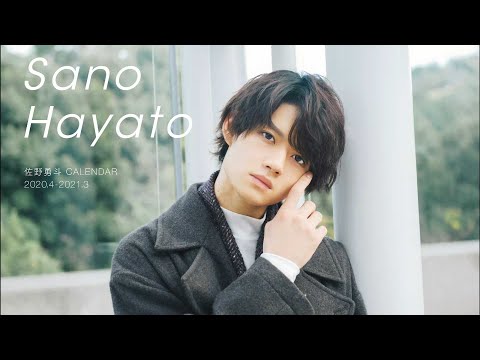 動画