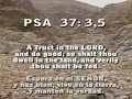 Judean Desert - Desierto de Judea (ISRAEL)  Part II