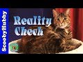 Reality Check -- Dear Tipi #24