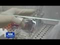 videos de Antioxidants