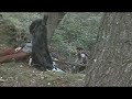 Schlangenfels der Hinterhalt (LARP)