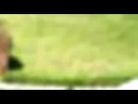 Thumbnail #3