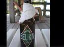 Belize Vaca