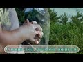 Не пройди Иисус меня