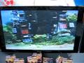 Japan Tokyo Toy R Us Old Zoids Commericals (1)