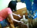 Be very kind to animals...