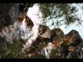 kahena ~ puna hawaii3.mov