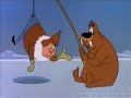 chilly willy   polar pests