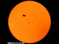 Sunspot rotations