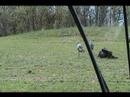Bowhunting Wild Turkey with Bow 2007 Guillotined 2 Rio\ Bowhunting Wild Turkey with Bow 2007 Guillotined 2 Rio\