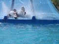 verano2007