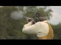 Shotgun impacts in slow motion - The Slow Mo Guys