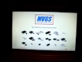 Voir la Vidéo