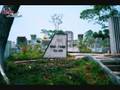 trai ti nan galang tinh... View Video