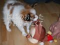 �p�s���� �������g���̂��Ƃڂ�����