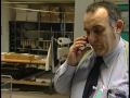 Marito in affitto - TGRegionale Emilia Romagna - RAI 3