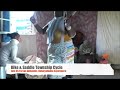 Click here to watch this video Authentic Cape Culture & Township Cycle with Bike & Saddle