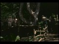 Cosie costa as a vietnam war pow - clip 2