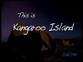 SeaLink Kangaroo Island advertisement