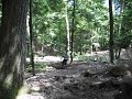 Click here to watch this video New Jump Line Preview