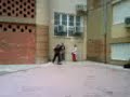 skate villena