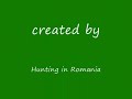Hunting in Romania - Wild duck Hunting in Romania - Wild duck