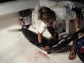TEXAS fishing WILDCATTER SWORDFISH