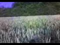 c'est une vid�o d�bile.