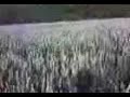 c'est une vid�o d�bile.