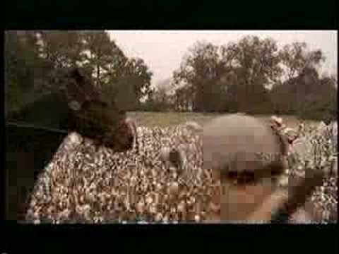 High Cotton Title Sequence (1997) ONeal Compton
