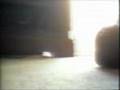 Slow Motion Seal Fighters II