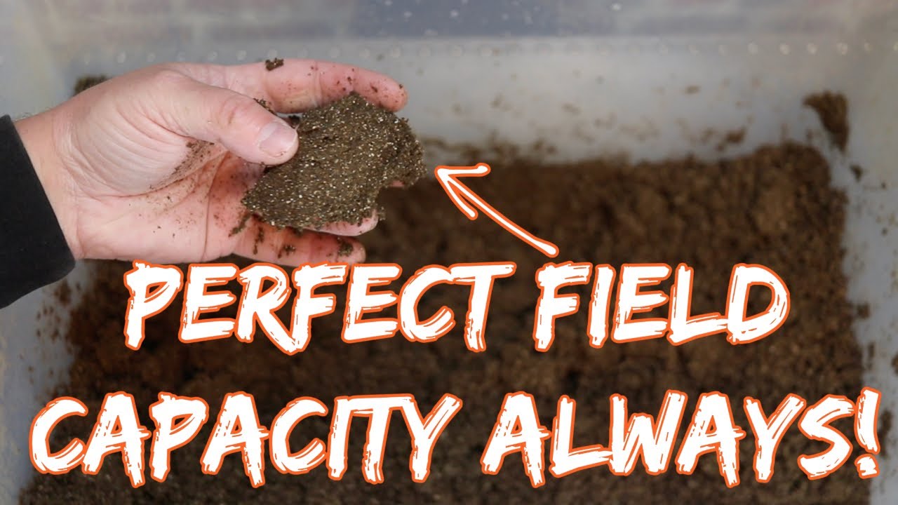 Perfect moisture in your bulk substrate every time! | Field capacity done right!