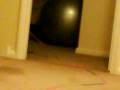 videos de A fun mahusive straw