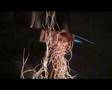 Digressions Of Mortality Into Robotic Metaphysics by Gabrijel Savic Ra