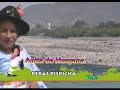 ANITA DE HUAYANA - PERAS PISPICHA