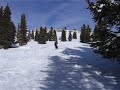 Vail Snowboard Ride Through the Woods then BAM